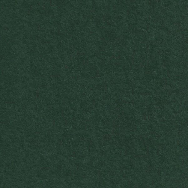 Feutrine 190cm - 6251 VERT BOUTEILLE