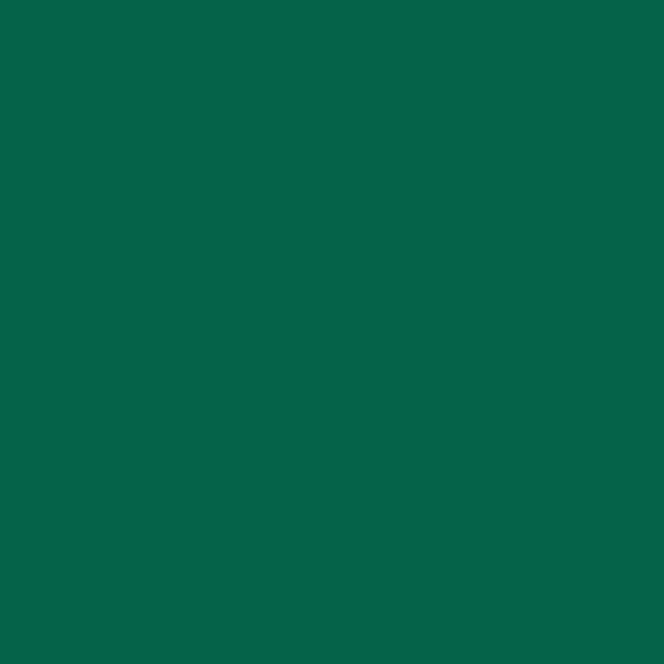 Laquefolie 130cmx30ml M2 - 674 VERT