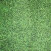 Moquette sans film MOQ'DESIGN Bfl-S1 - 200cm - HERBE SPORTIVE
