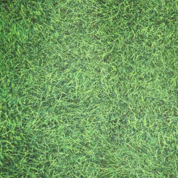 Moquette sans film MOQ'DESIGN Bfl-S1 - 200cm - HERBE SPORTIVE