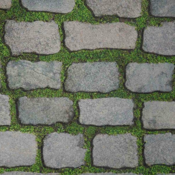 Moquette sans film MOQ'DESIGN Bfl-S1 - 200cm - JARDIN PAVE