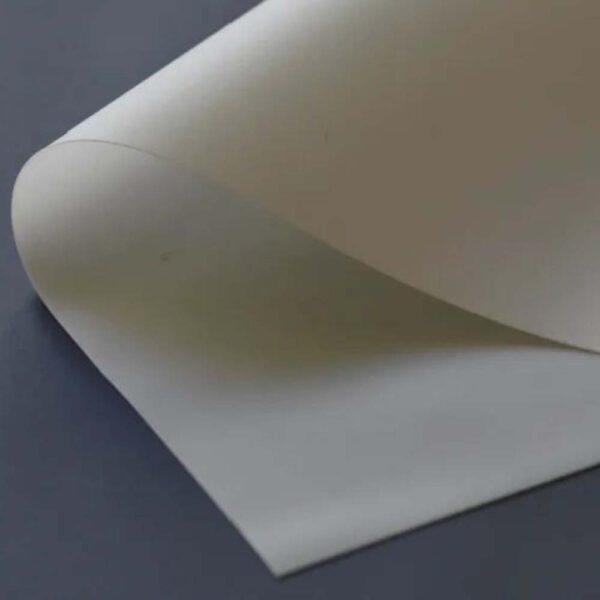 Toile Ecran M1 retroprojection crème