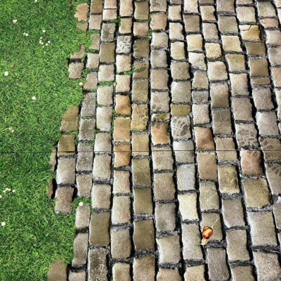 Moquette-imprimée-pavés-herbe